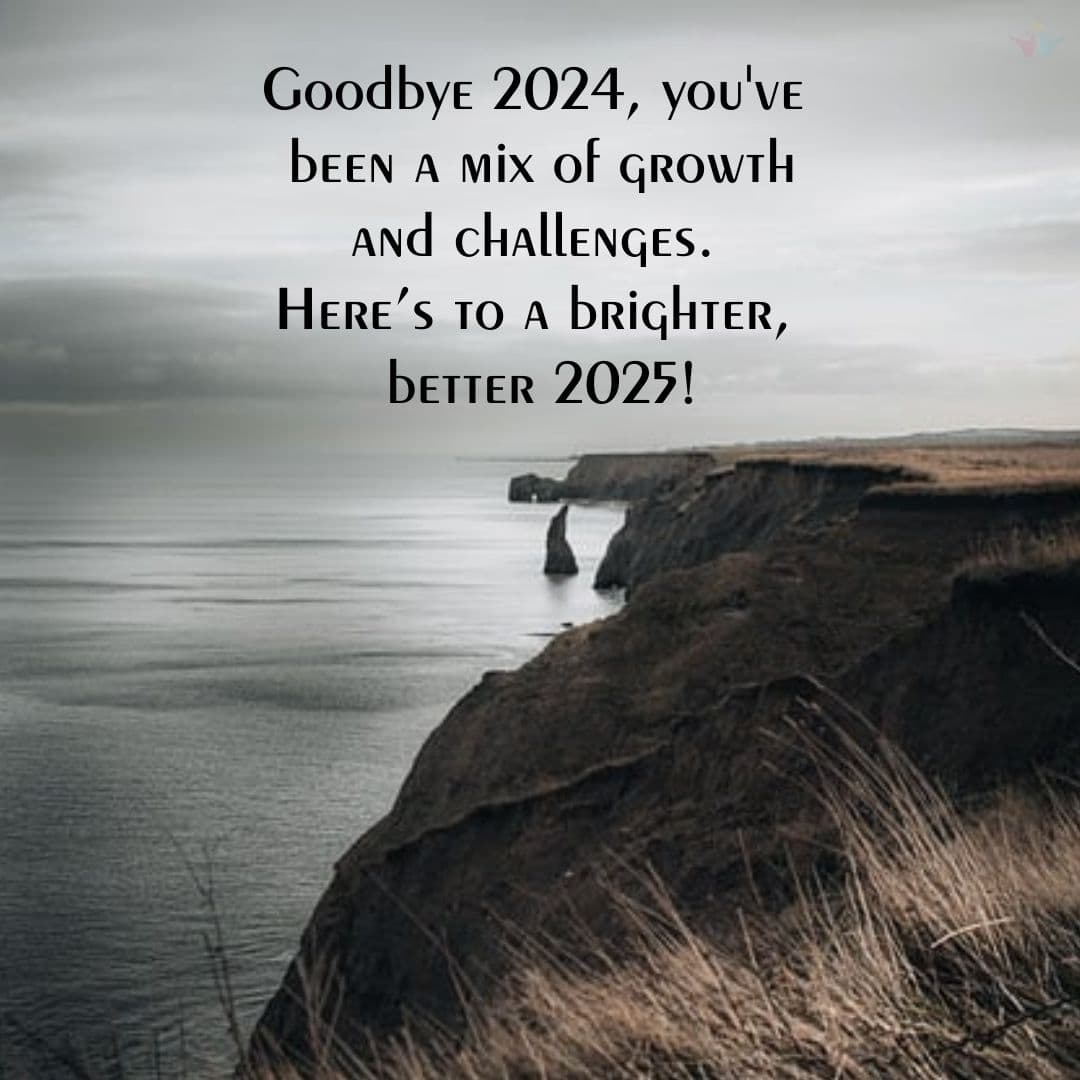 brighter 2025  bye bye 2024 quotes