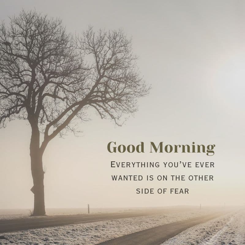 fear good morning motivation captions insta 2025