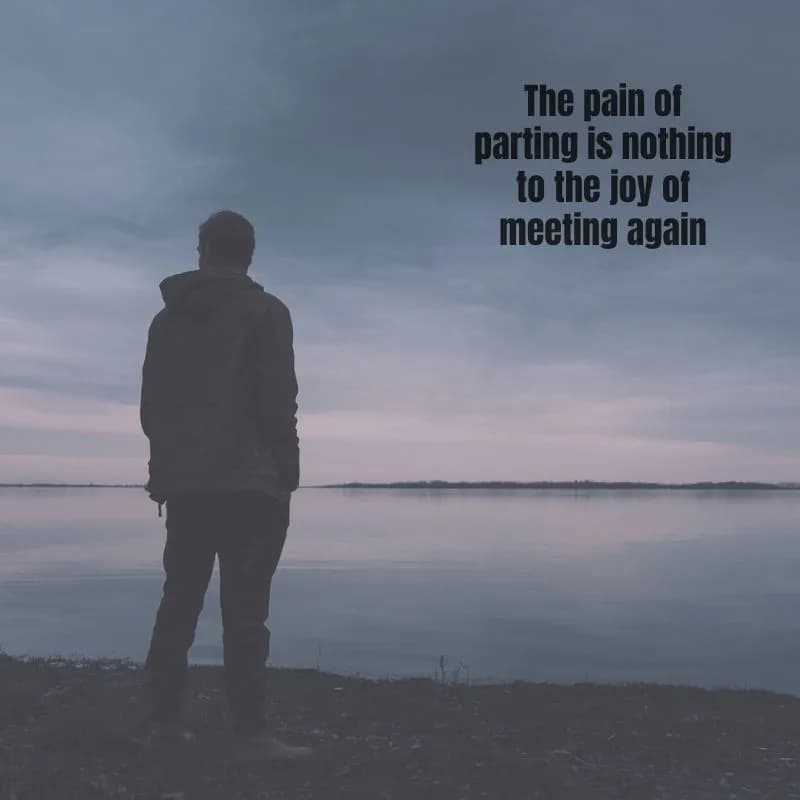 the pain sad captions quotes unique 2025