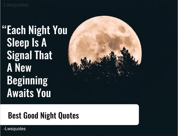 1200 Best Good Night Quotes 2020 2 