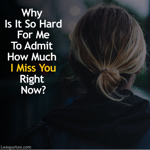 Best Miss You Quotes 2023