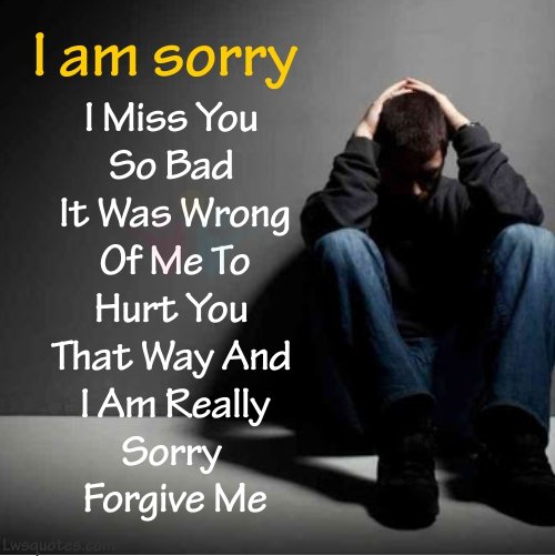 i am sorry quotes for hurting you