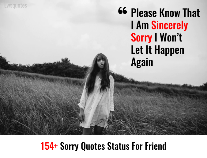 154+ Sorry Quotes Status For Friend