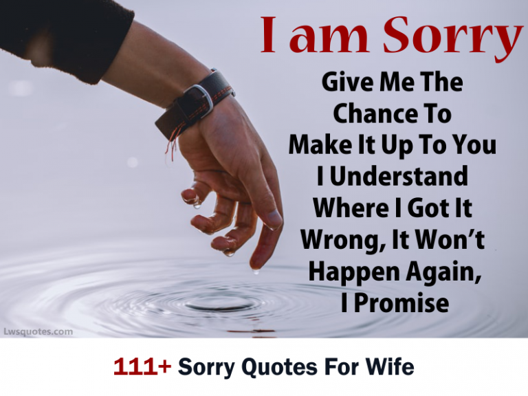 111+ Sorry Quotes For Wife 2020