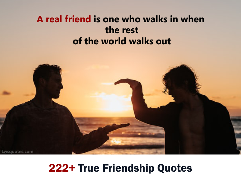 222+ True Friendship Quotes 2020