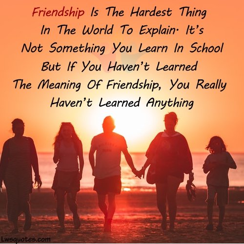 Best Cute Friendship Quotes 2020