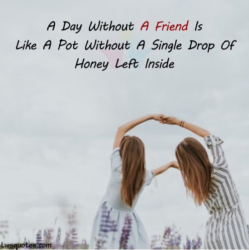 Cute Friendship Quotes line