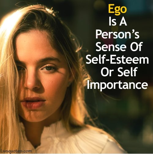 best Ego And Attitude status