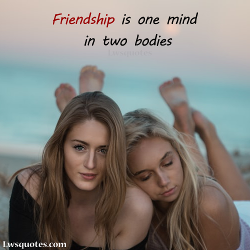 quotes on true friendship