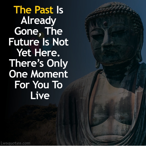 Best Buddha Quotes On Life For Whatsapp 2020