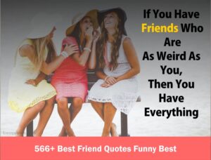 566 Best Friend Quotes Funny Best 1 300x228 