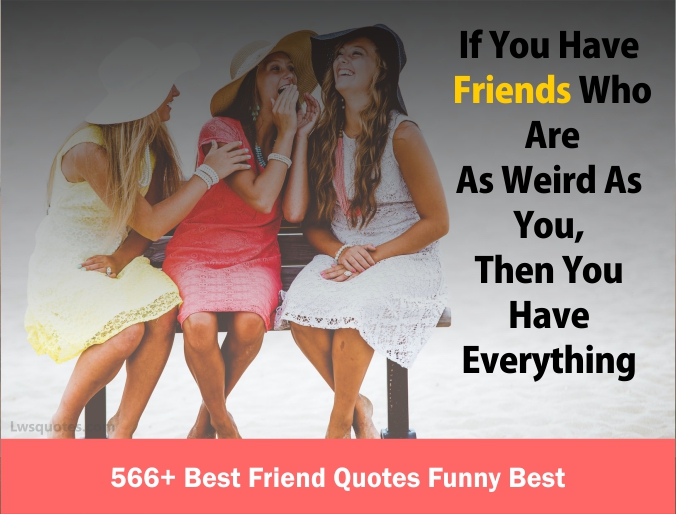 566+ Best Friend Quotes Funny Best