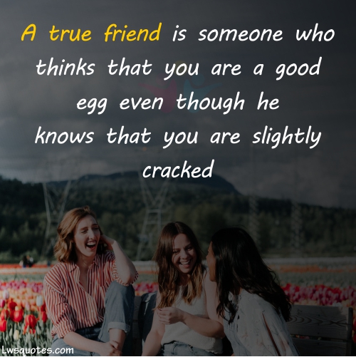 One Line Best Friend Quotes Funny 2020