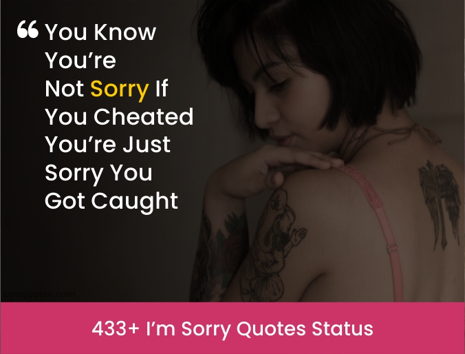433+ I’m Sorry Quotes Status