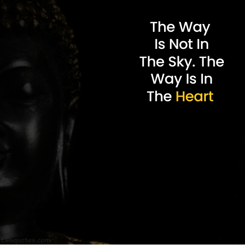 Latest Buddha Quotes On Happiness