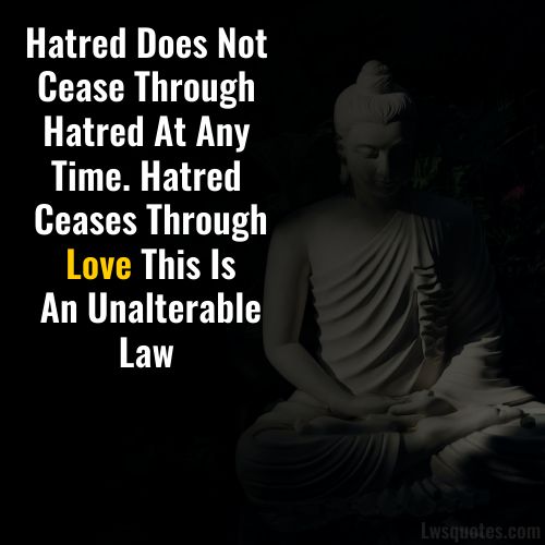 Short Buddha Quotes On Love