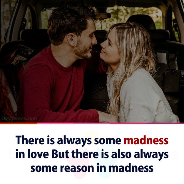 madness best love quotes
