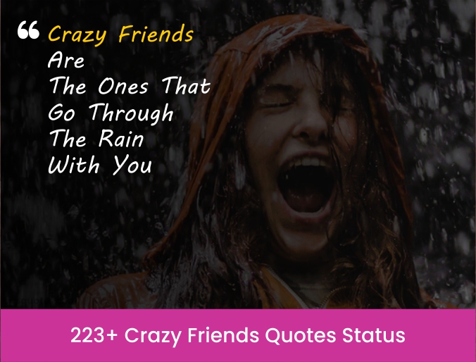 223+ Crazy Friends Quotes Status