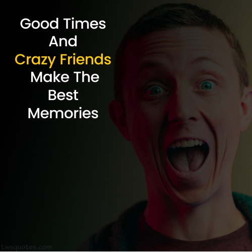Insta Crazy Friends Quotes
