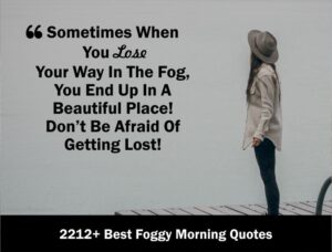 2212+ Foggy Morning Quotes 2021