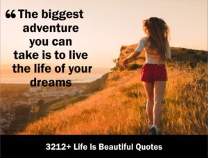 3212+ Life Is Beautiful Quotes 2021