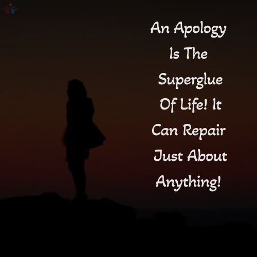 An Apology sorry quotes 2023