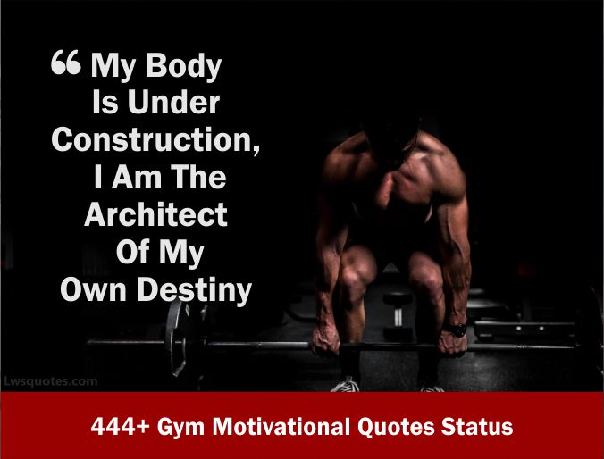 444+ Gym Motivational Quotes Status 2023