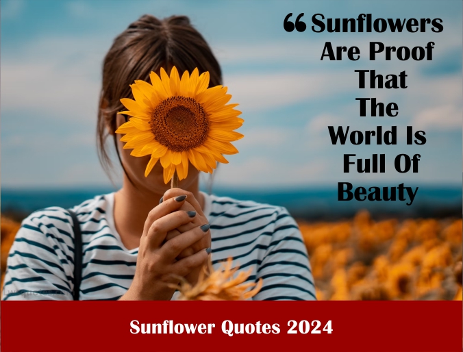 3223+ Sunflower Quotes 2024 Best Awesome