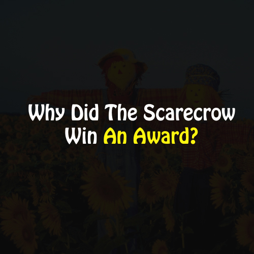 Scarecrow Funny Quiz And Answers 2024
