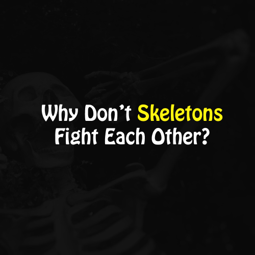 Skeletons Funny Quiz And Answers 2024